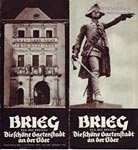 Brieg Prospekt