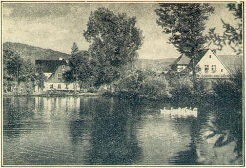 Schweizer Teich